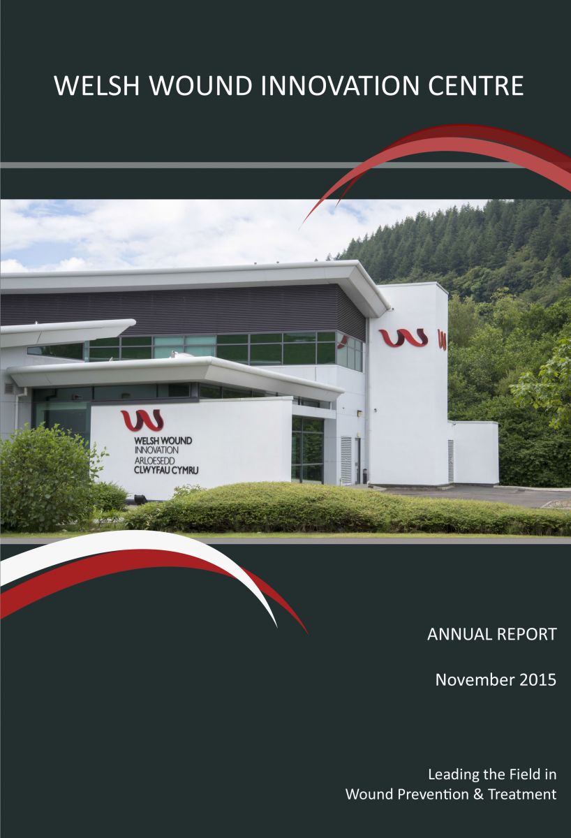 Annual Report: November 2015