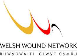 Welsh Wound Network